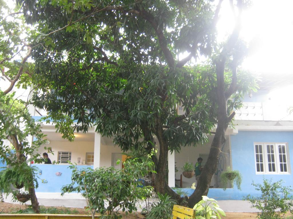 Casa De Temporada Das Mangueiras Olinda Rum bild