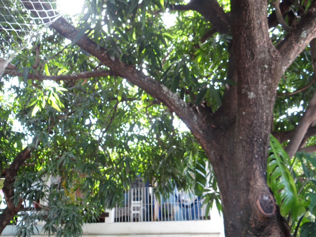 Casa De Temporada Das Mangueiras Olinda Exteriör bild